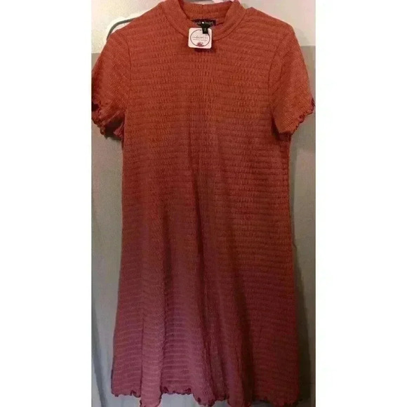 DEREK HEART PLUS‎ Ladies 1X Turtleneck Ribbed Above The Knee Shift Dress Mauve - Picture 1 of 7